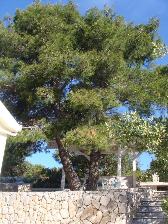 Beach House Blue Lagoon Okrug Gornji Esterno foto